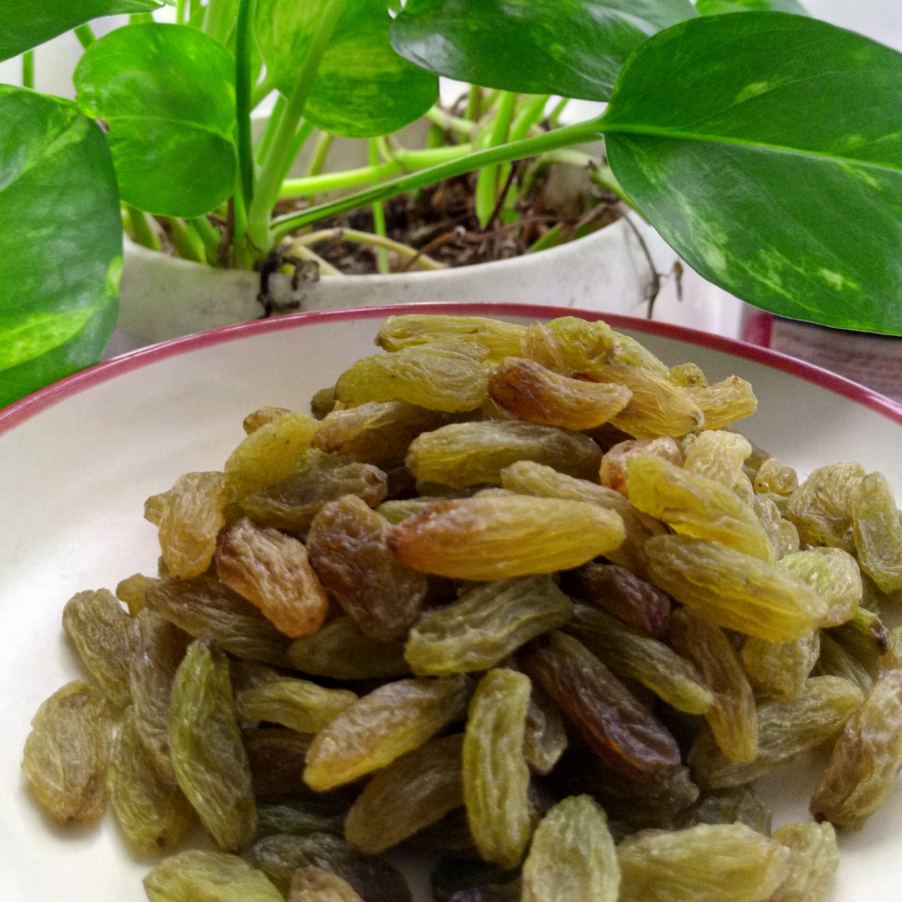 کشمش سبز از کاشمر ارسال میشه
