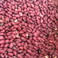 لوبیا قرمز 1000 گرم