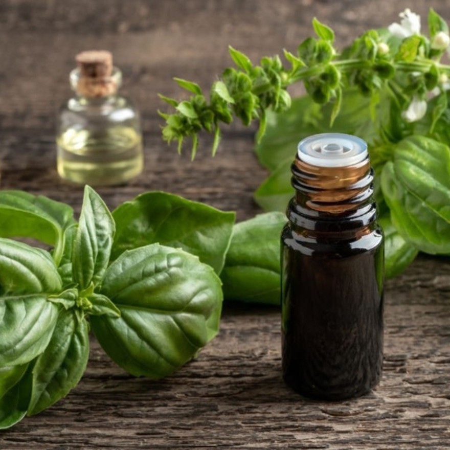 روغن ریحان - 20 میلی لیتر