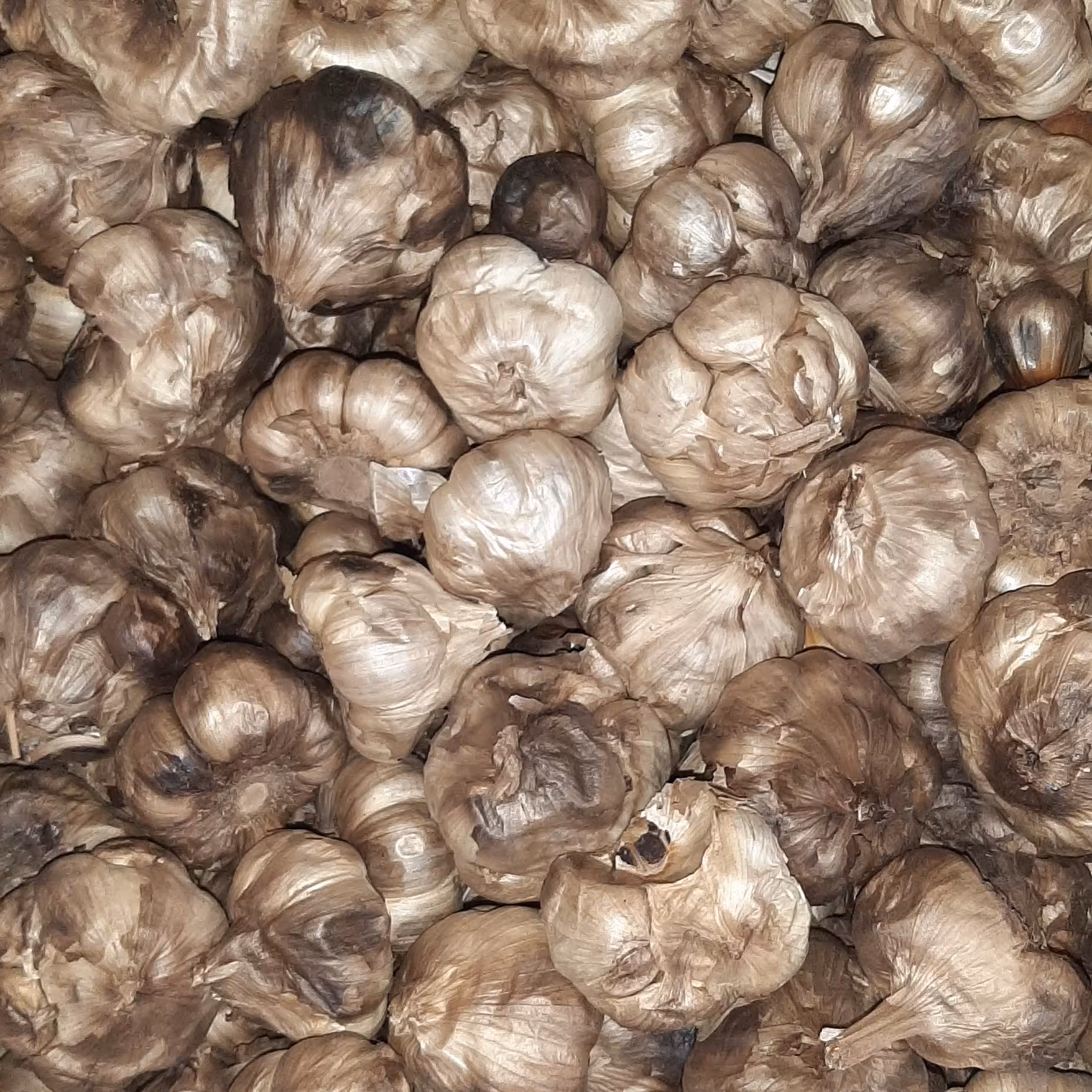 سیر سیاه 10 کیلویی مخصوص فروشندگان