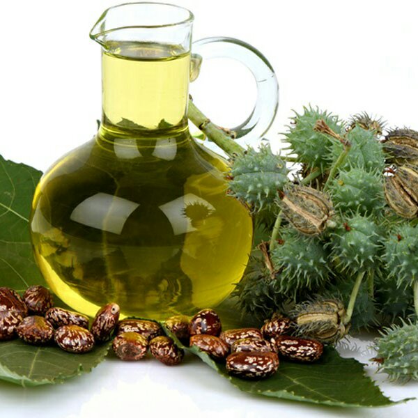 روغن کرچک (وحشی ) 3 تا بخر یکی هدیه بگیر 60 سی سی (غیر خوراکی) 