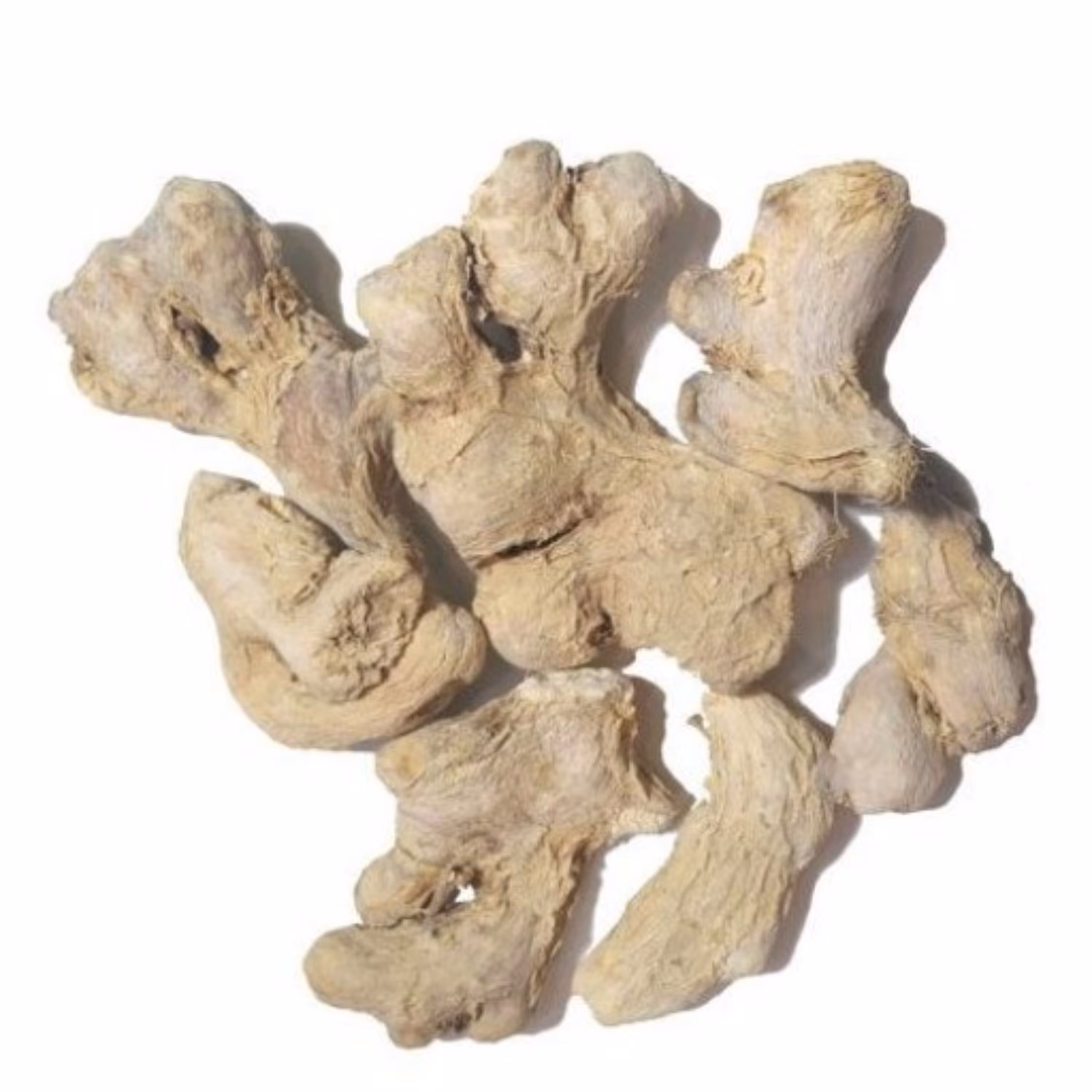 زنجبیل قلم ( 100 گرمی ) عطاری نیکو طبیب