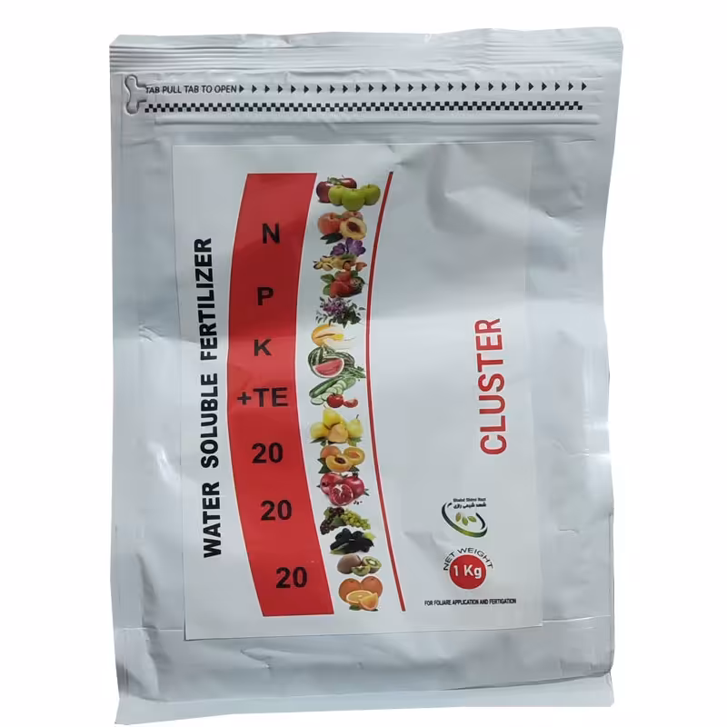 202020 کلاستر 1 کیلویی