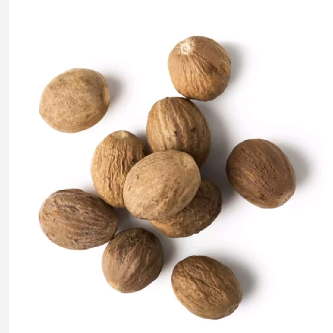 جوز هندی قلم درجه یک(یک عدد)