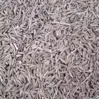 زیره سبزه خراسان 1 کیلو درجه یک