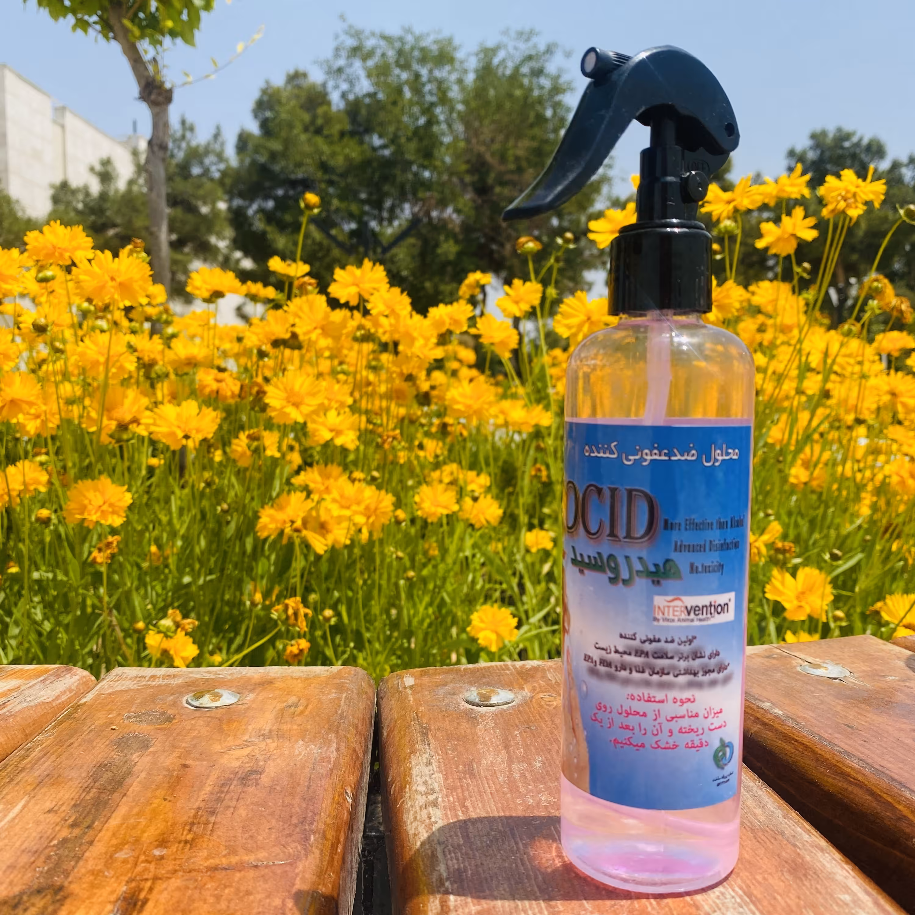 ضدعفونی کننده دست و سطوح 250 میلی لیتری