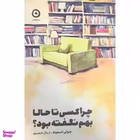کتاب چرا کسی تا حالا بهم نگفته بود؟ اثر جولی اسمیت انتشارات مون