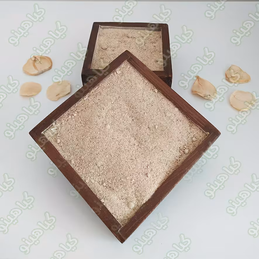 پودر موسیر 500 گرمی گیاهینو