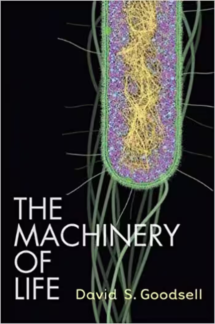 󾕇 دانلود کتاب The Machinery Of Life, 2nd ed, 2009 - دانلود کتاب های دانشگاهی