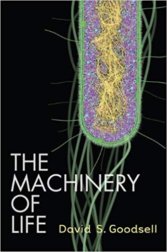  دانلود کتاب The Machinery Of Life, 2nd ed, 2009 - دانلود کتاب های دانشگاهی