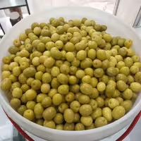 2500گرم زیتون جنگلی آبکش.اقتصادی.بسیار خوش طعم.و خوش رنگ