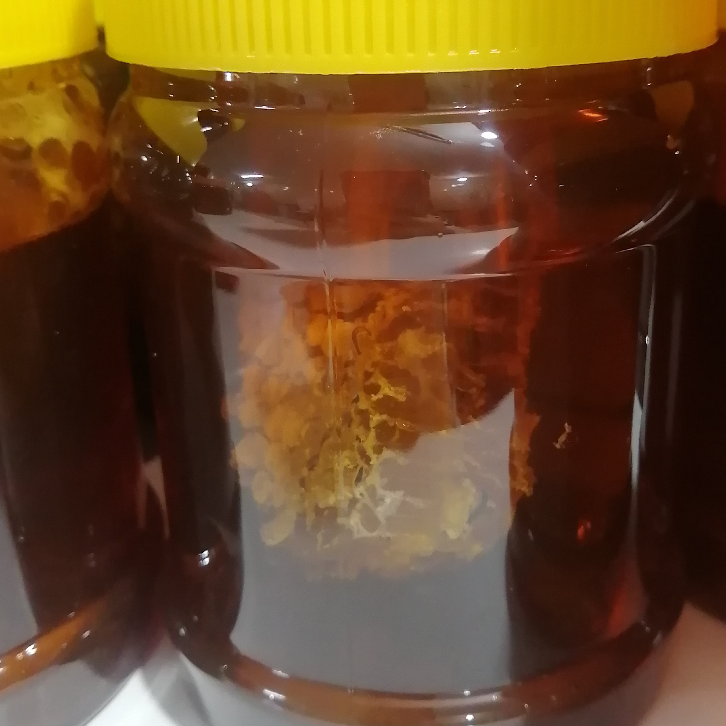 عسل طبیعی باغی 1000گرم