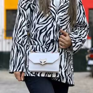 کیف پاسپورتی