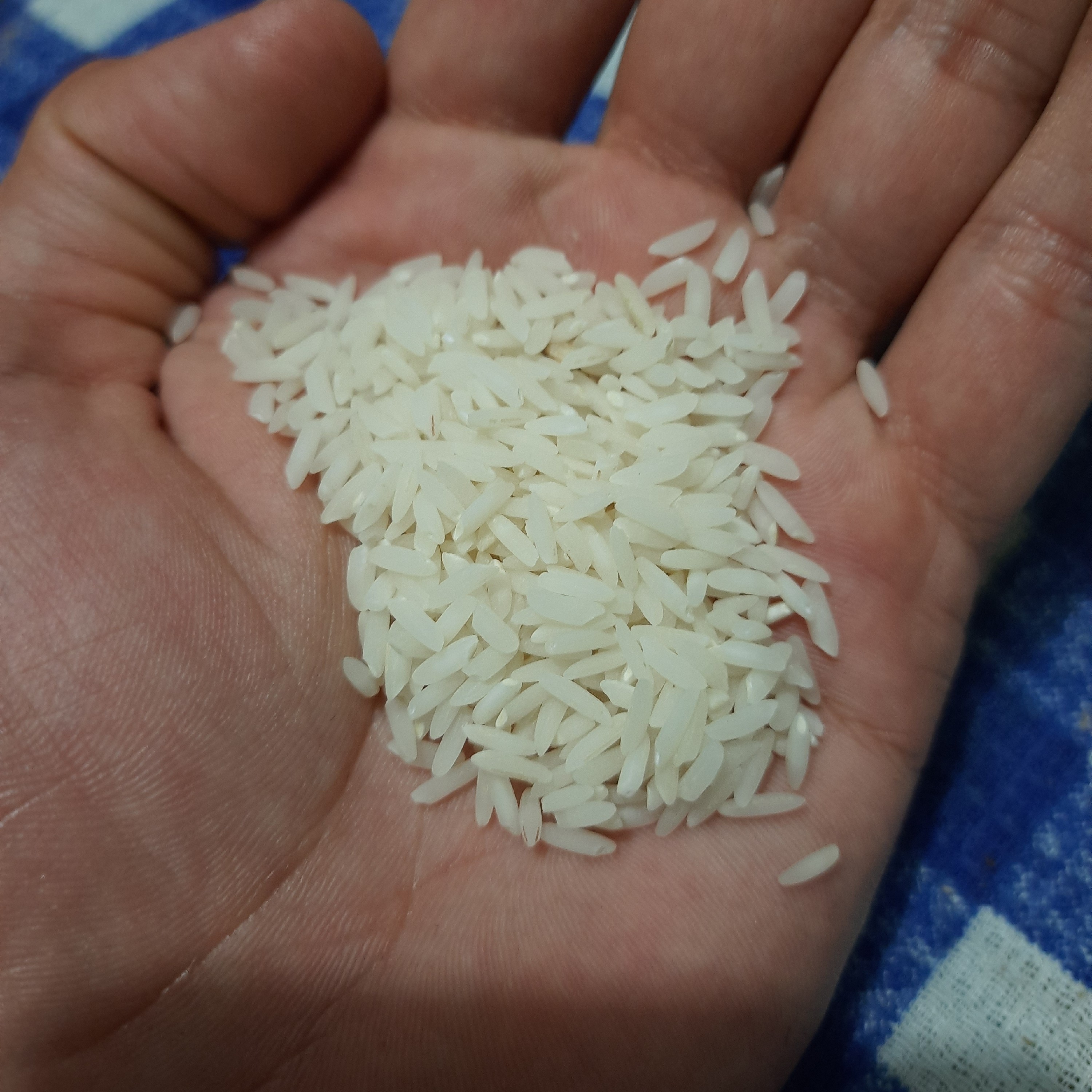 برنج طارم محلی اعلاء 10 کیلویی مازندران معطر و خوشپخت کشت اول