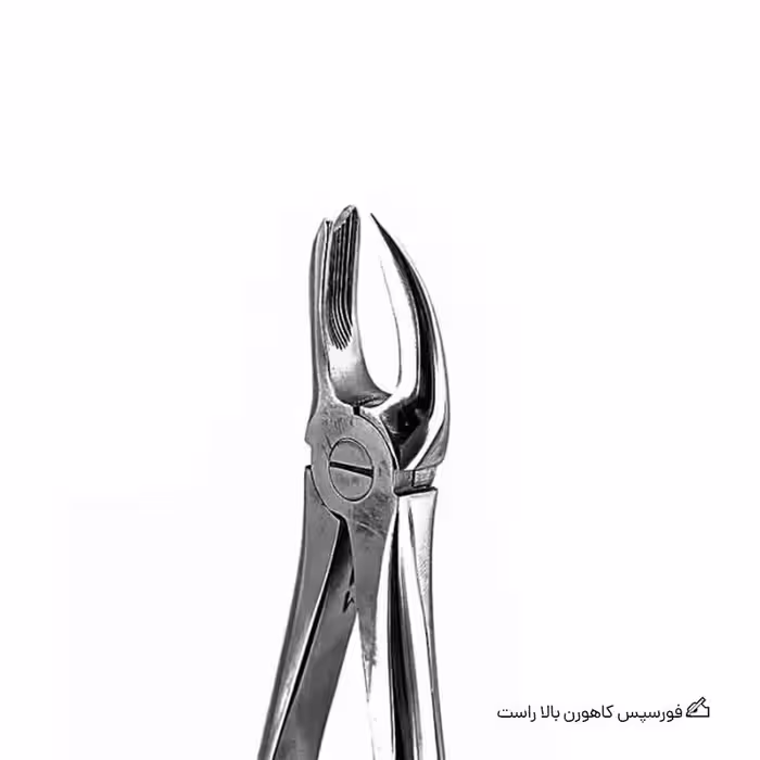 فورسپس کاهورن بالا راست