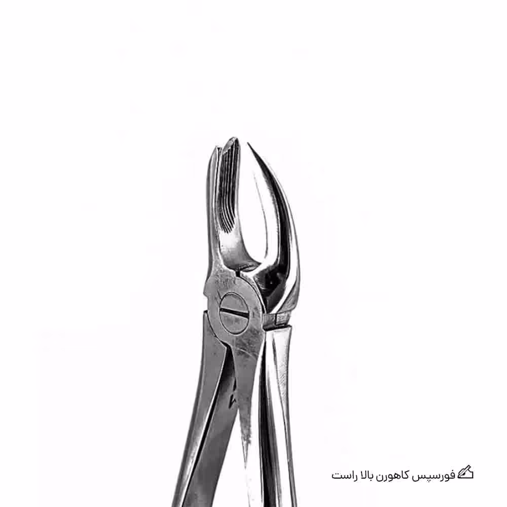 فورسپس کاهورن بالا راست