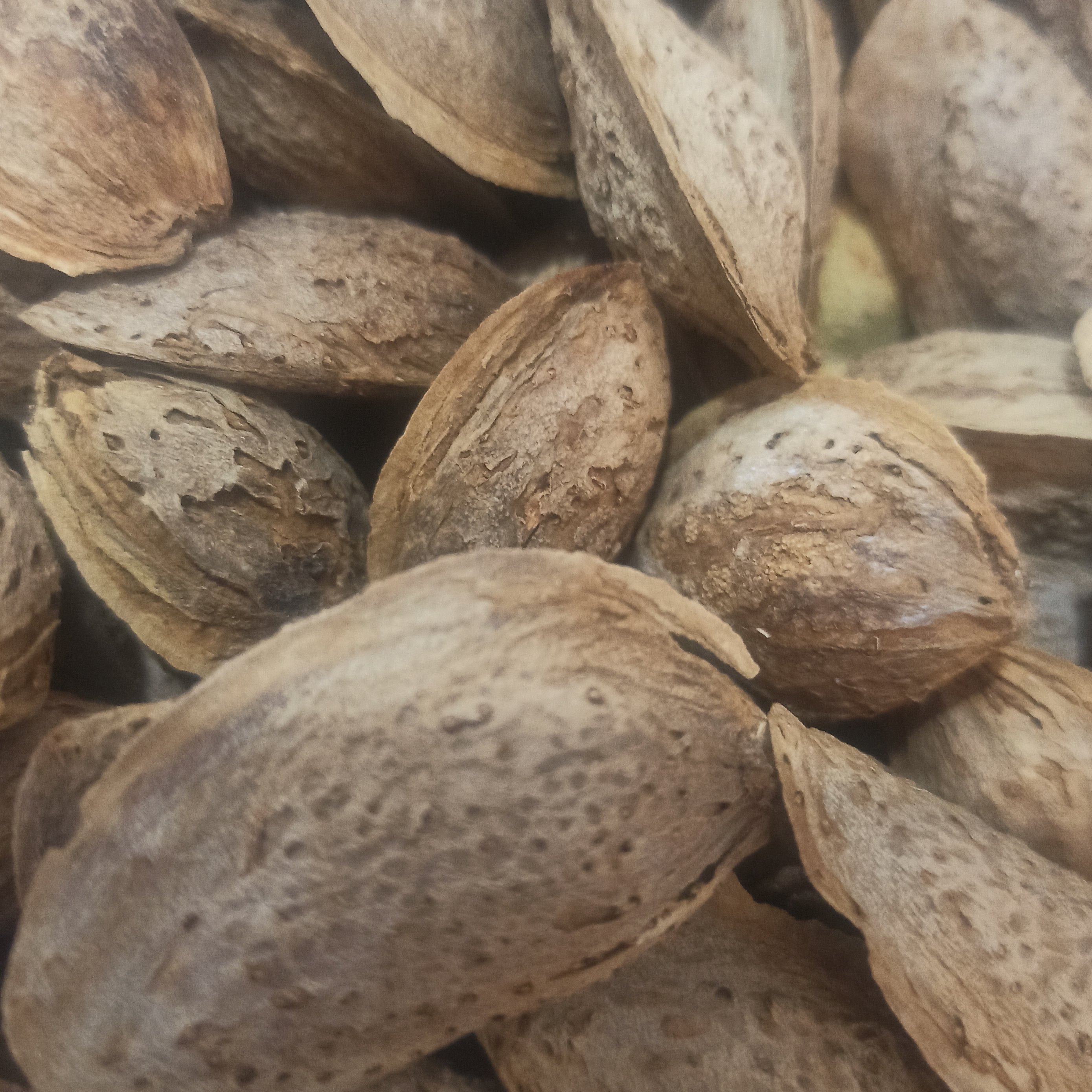 بادام پوست کاغذی