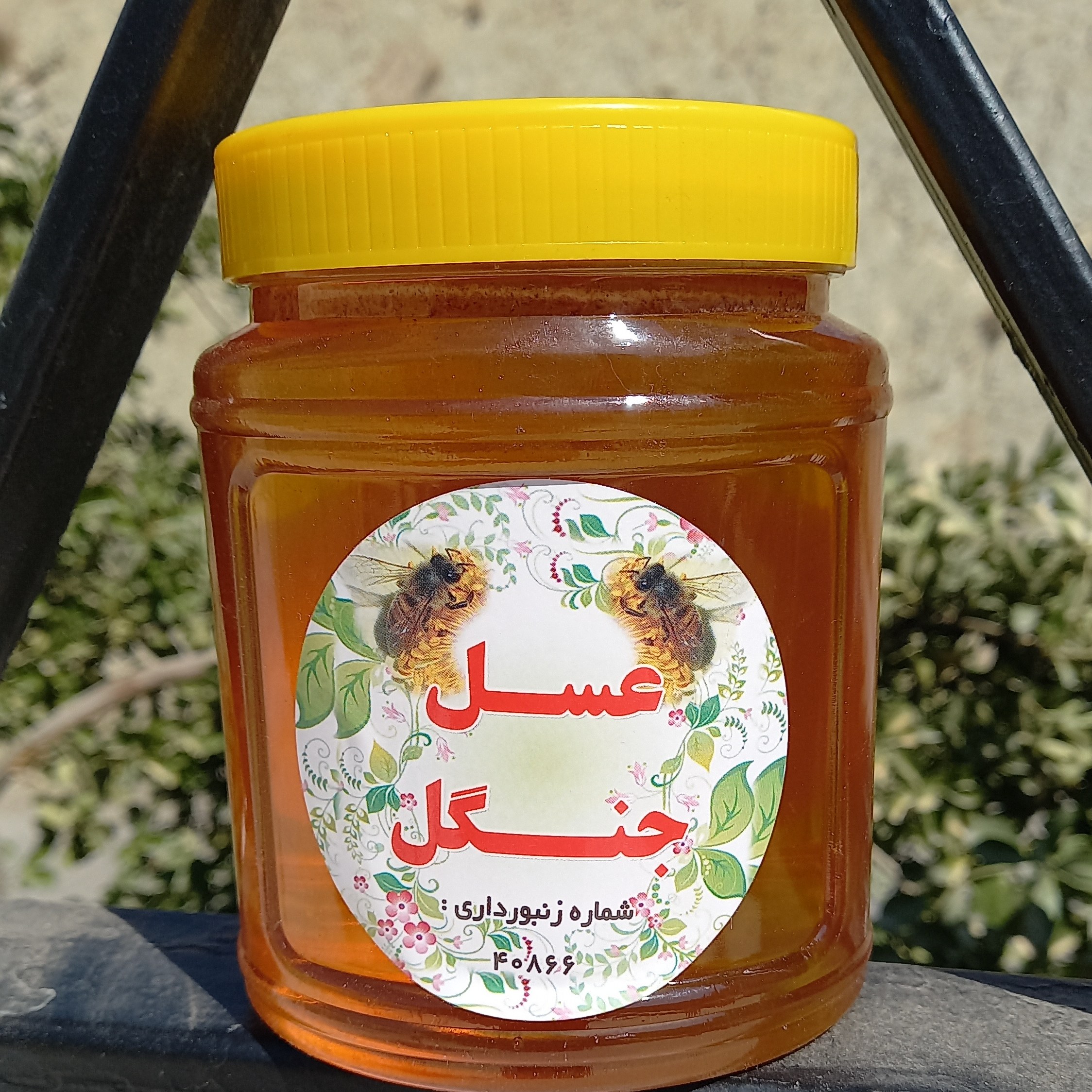 عسل جنگل