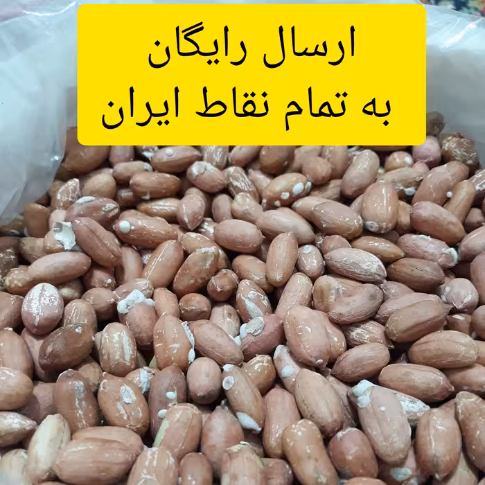 بادام زمینی سایز متوسط  برشته و نمکی   5000 گرم ارسال رایگان