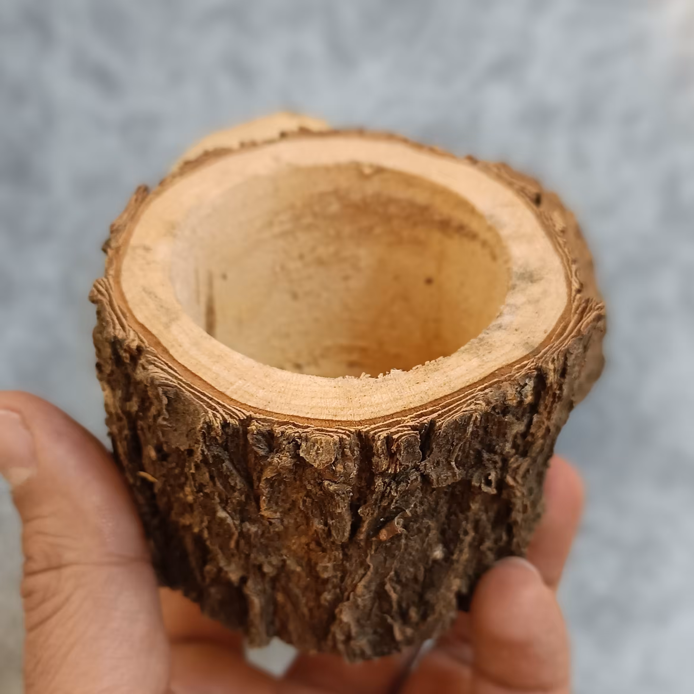 گلدان تنه درختی طبیعی چوبی گرد t1