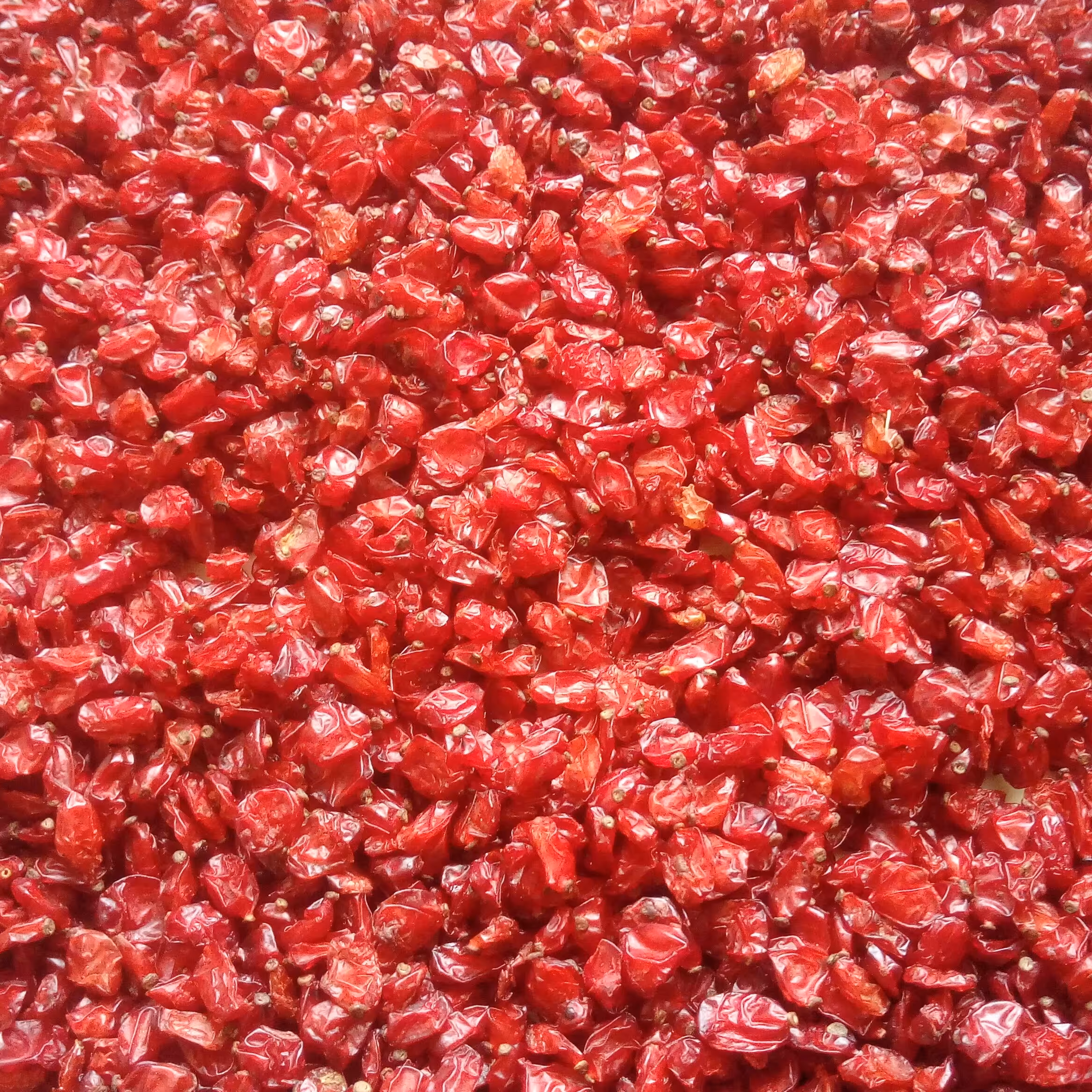 زرشک دانه اناری 500گرمی