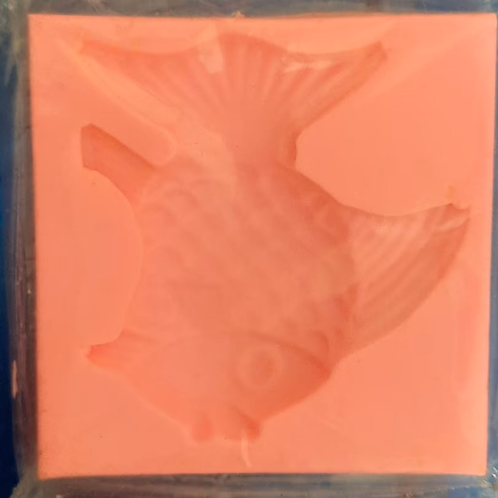 مولد ماهی کامل