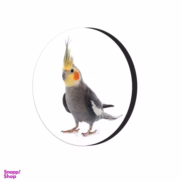 مگنت طرح طوطی عروس هلندی کد 4565377