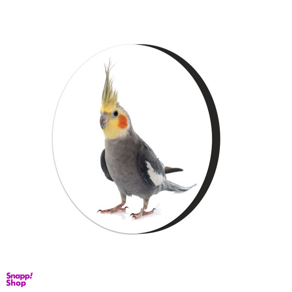 مگنت طرح طوطی عروس هلندی کد 4565377