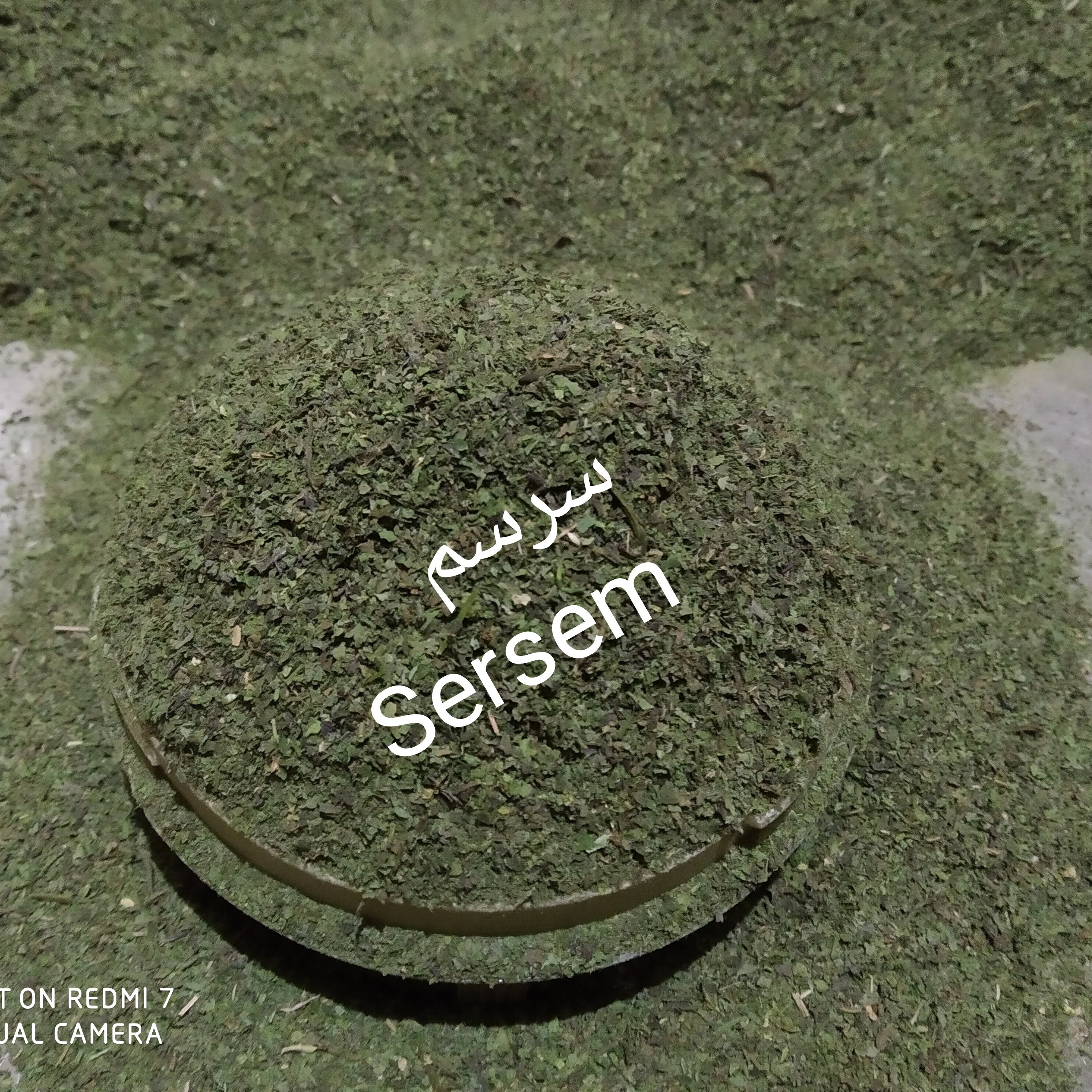 سبزی خشک کوهی شمال50 گرم