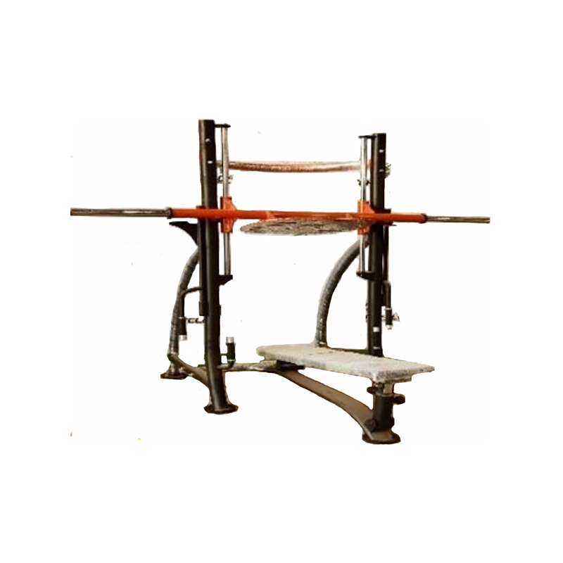 دستگاه پرس پا وزنه آزاد عمود تکنو فول مدل TFX1051.