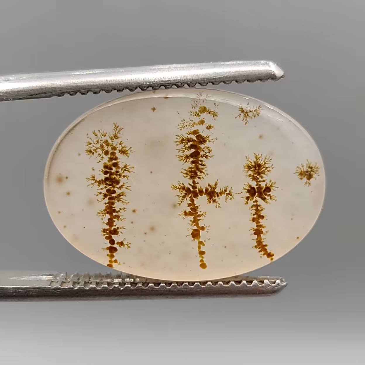 عقیق شجر طبیعی اصل سه درخت کلکسیونی زیبا و ناب 