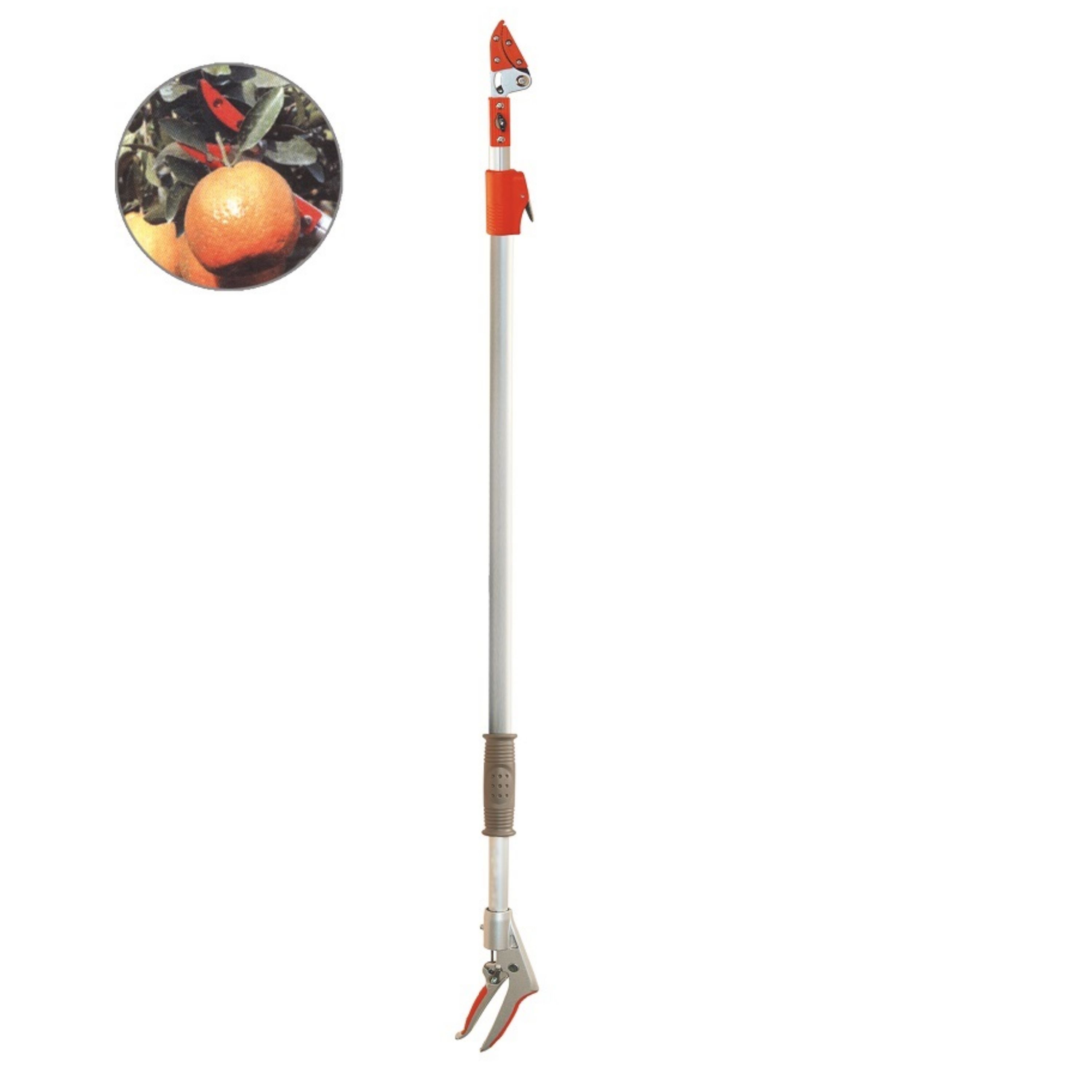 قیچی میوه چین 18 الی 3 متری BH-L2210
