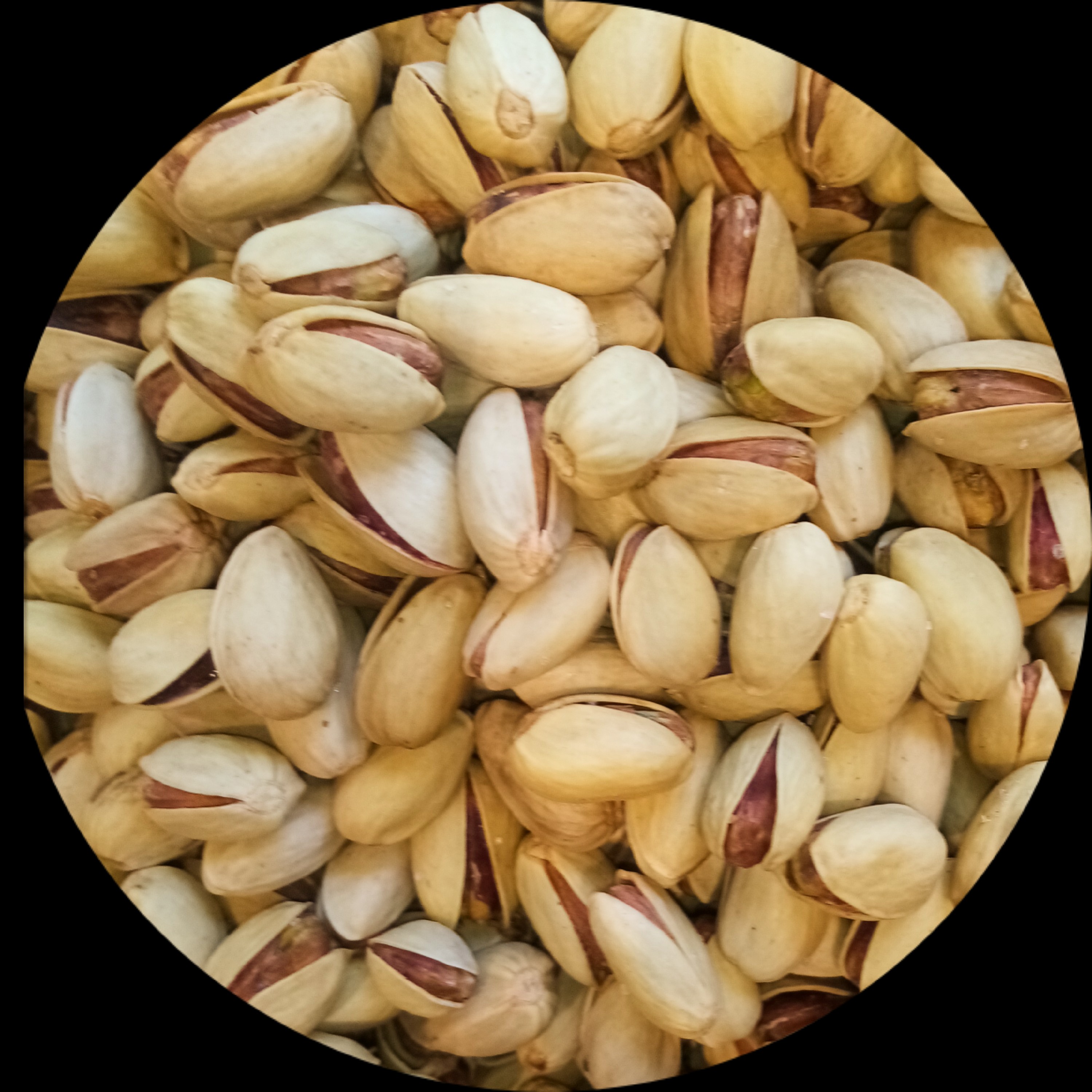 پسته احمدآقایی شور