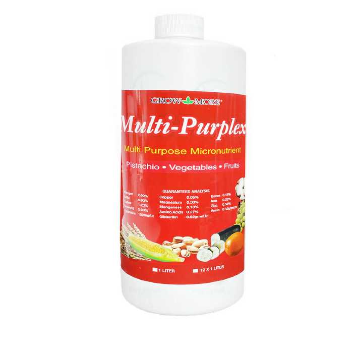 مولتی پورپلکس گرمور آمریکا