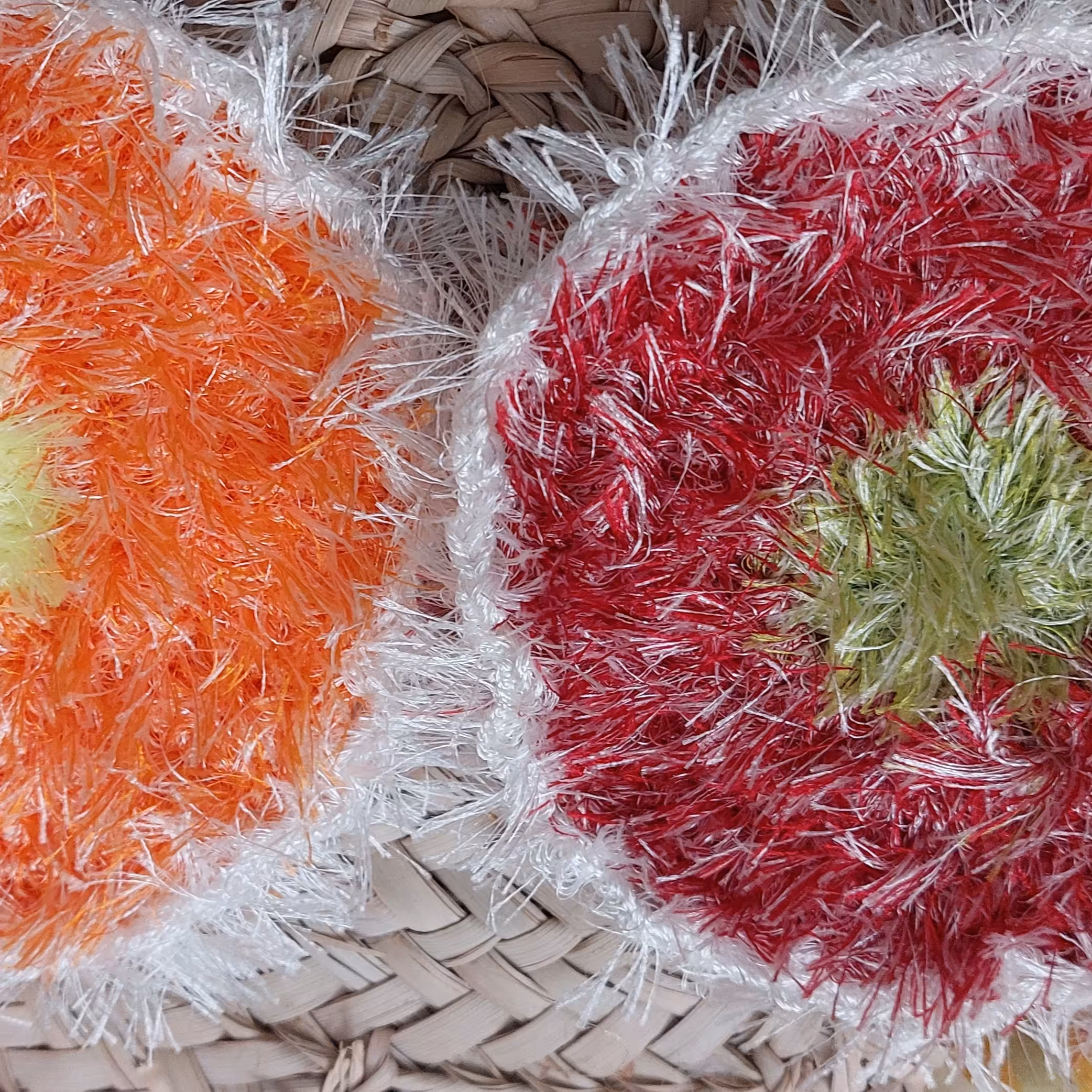 اسکاچ ریشه ای بزرگ(قطر 15 س)