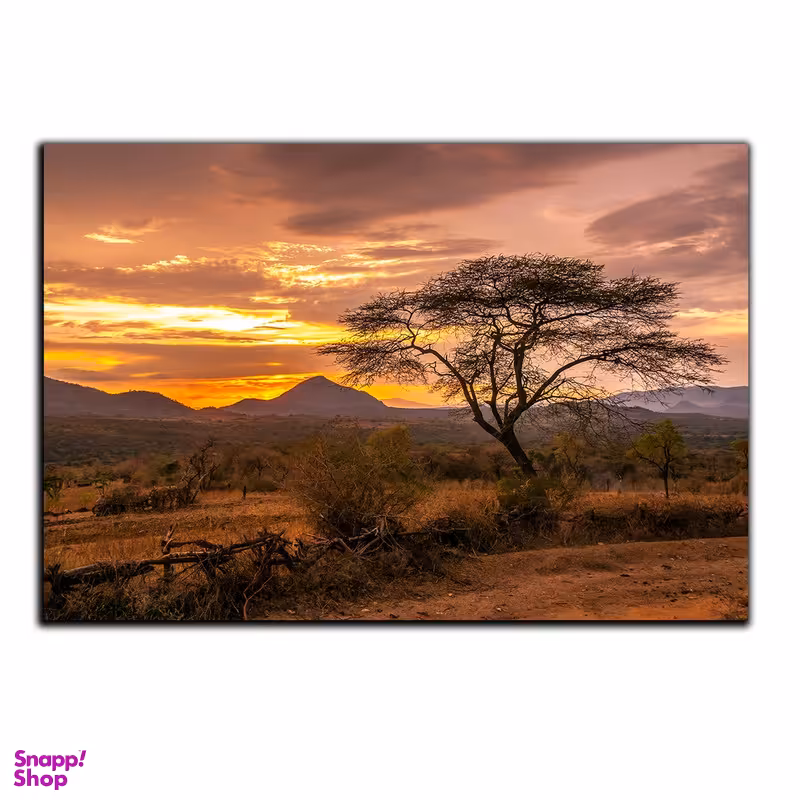 تابلو شاسی بکلیت طرح طبیعت آفریقا مدل SH-S540