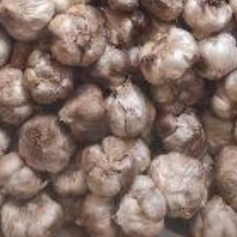 موسیر باکیفیت وتازه آماده جهت ارسال به سراسر ایران