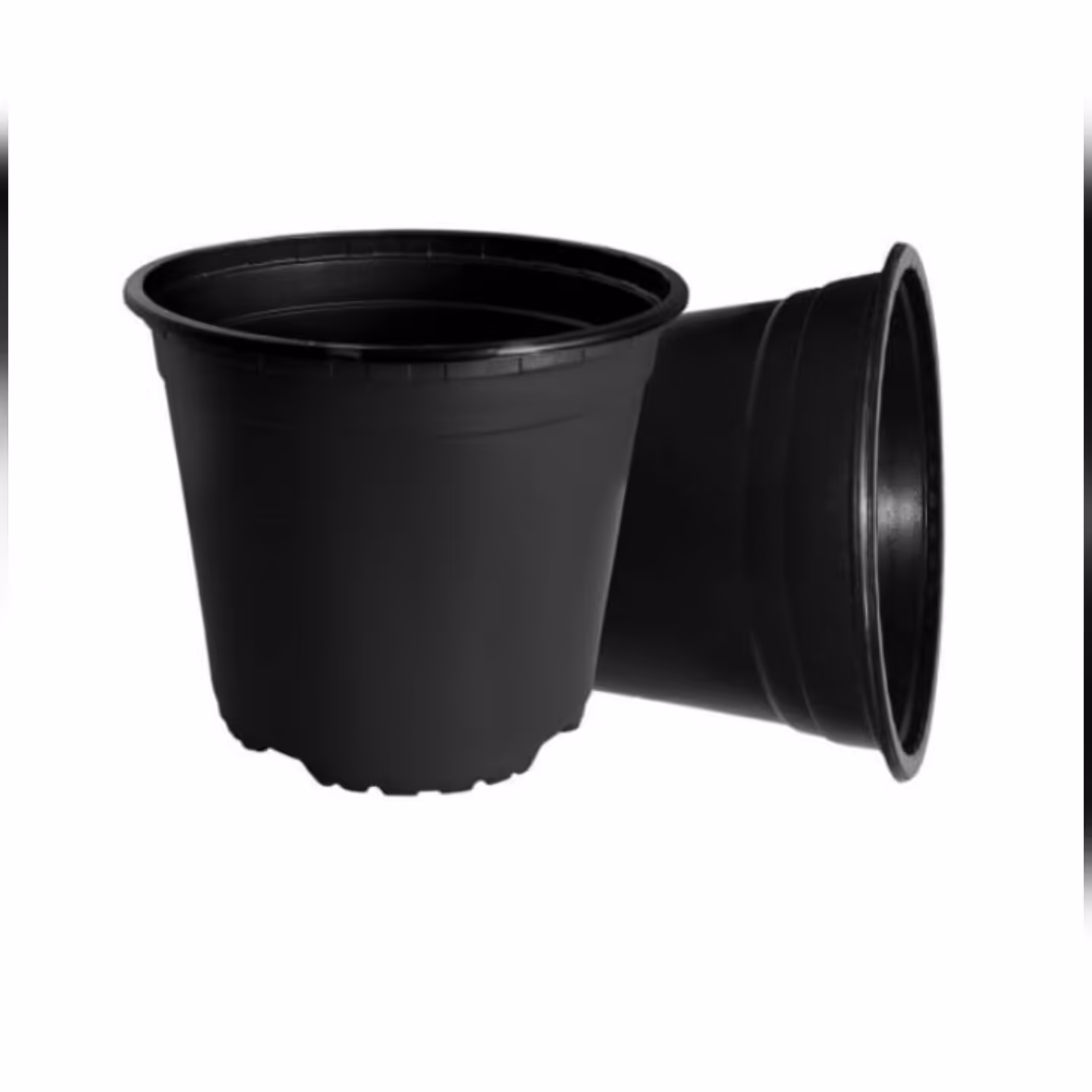 پک 20تایی گلدان سایز 8 