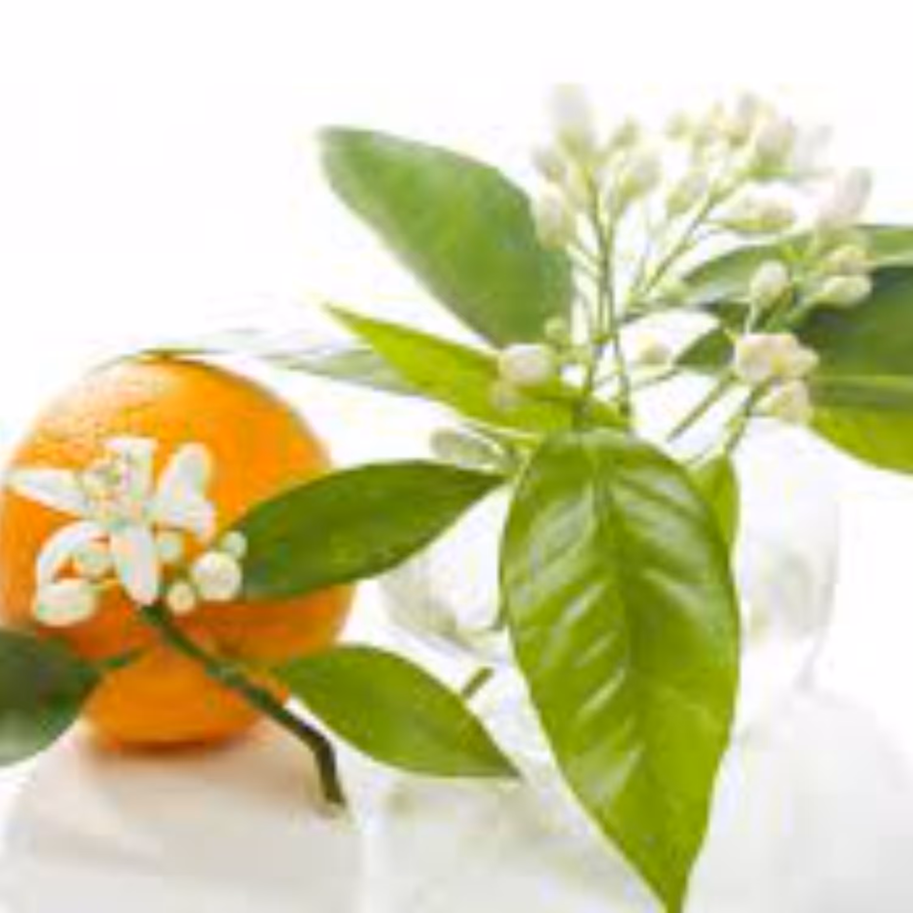 عرق بهارنارنج