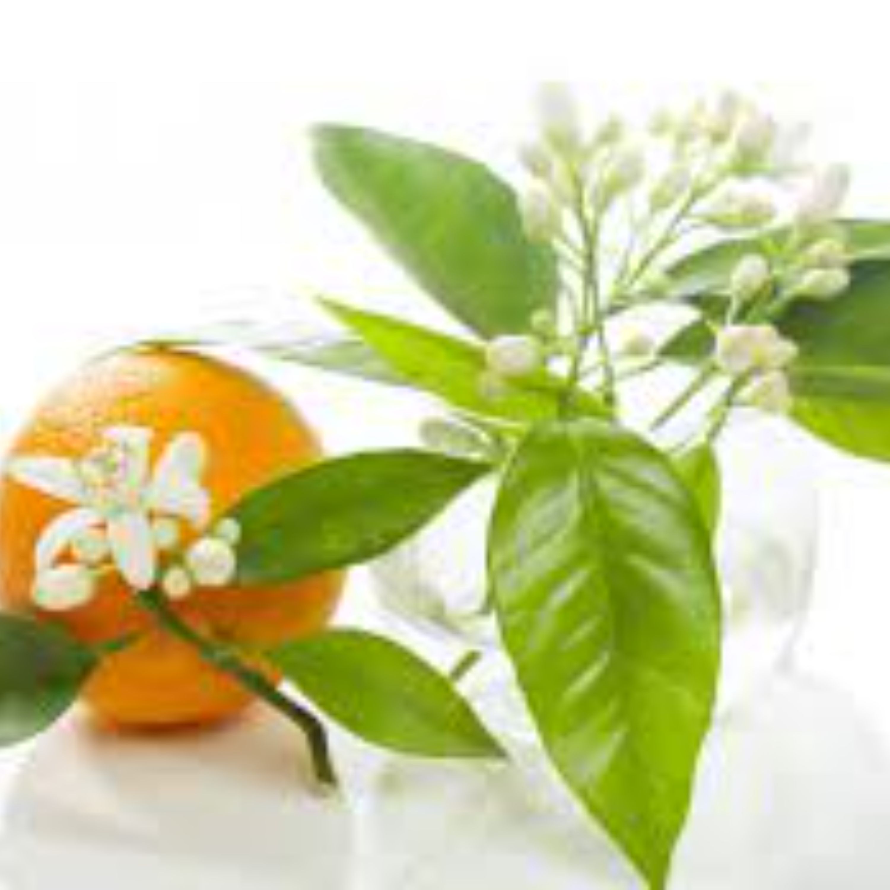 عرق بهارنارنج