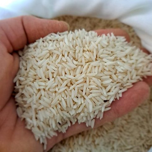 برنج شیرودی 10 کیلویی