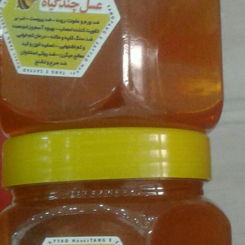 عسل اویشن وعسل مرکبات وعسل چندگیاه وکناروگون