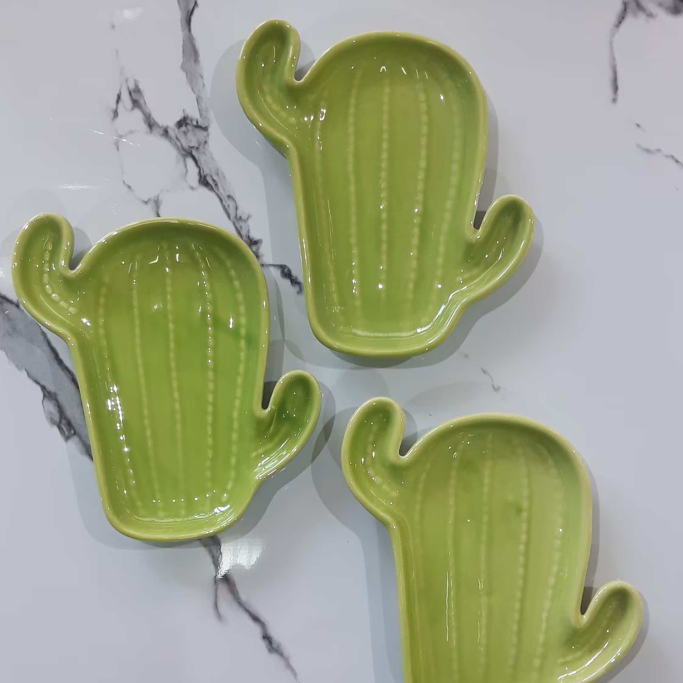 ظرف طرح کاکتوس تخت