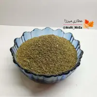 بذر کرفس خوراکی و کاشتنی میرزا (50 گرم)