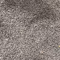 تخم شربتی ریز