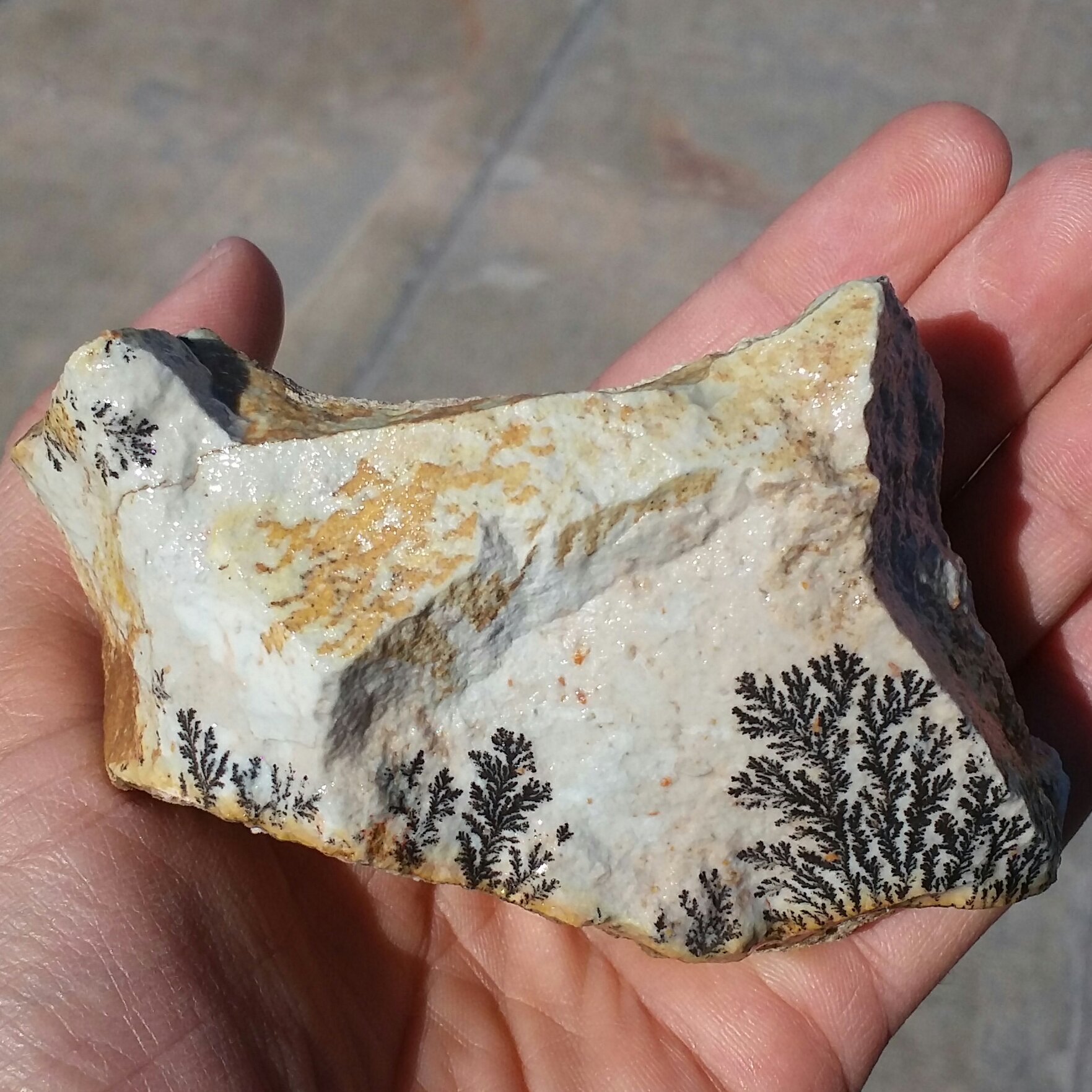 سنگ راف 100 در 100 طبیعی شجر دندریتی یا فسیلی محشر  بینظیییرر شاهکار خلقت
شجر واضح خاا ااااا ااص