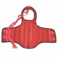 هوگو ووشو و کونگفو