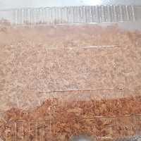 پیازداغ خلالی و نگینی ، طلایی، خشک و بدون روغن(500 گرم)