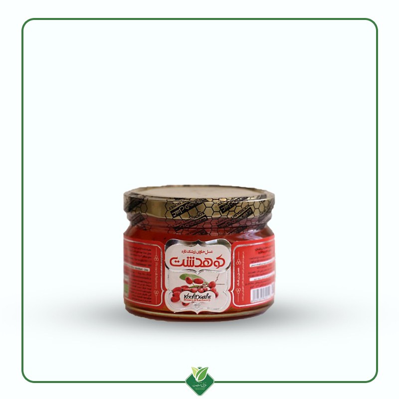 عسل با طعم زرشک کوهدشت 300 گرم