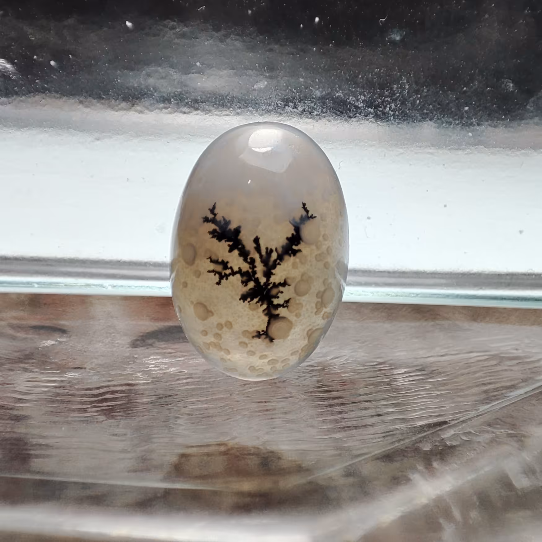 شجر قائن طبیعی و معدنی کد 533